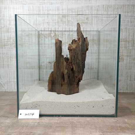 希少山型流木   Mサイズ　オンリーワン ★現物撮影  1点　No.2114(W約27㎝）