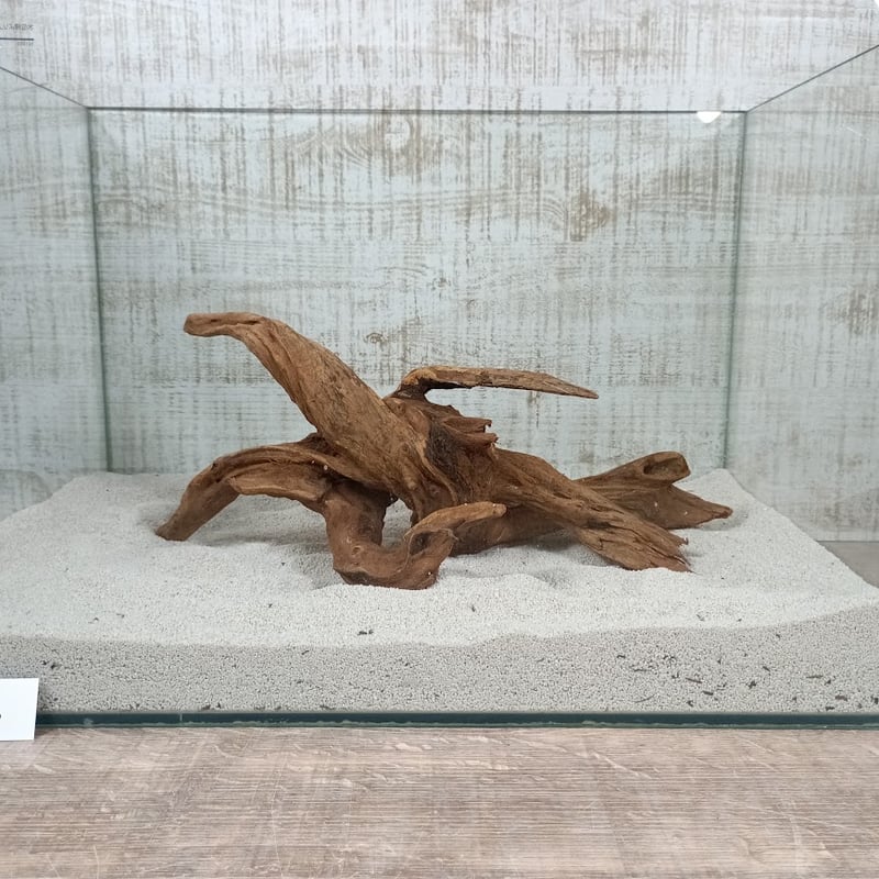 マングローブ系流木 ワイルドタイプ Lサイズ オンリーワン ☆現物撮影
