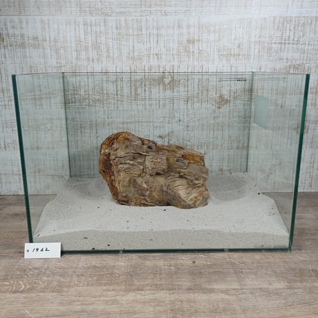 BIG木化石　NO.1962（W約23cm/H約16cm)(45cm水槽）