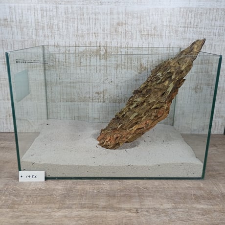BIG気孔石　１点もの　No.1956（W約41cm)(45cm水槽）