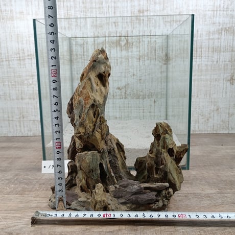 希少気孔石山（美型） 一点物の水槽オブジェ No. 1967  (30cm水槽)(W約20cm/H約25cm)