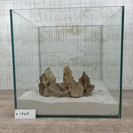 希少気孔石山  小サイズ（美型） 一点物の水槽オブジェ No. 19678 (30cm水槽)(W約18cm/H約9cm)
