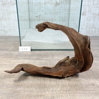 マングローブ系流木  Lサイズ　オンリーワン ★現物撮影  1点　No.2122(W約30㎝）