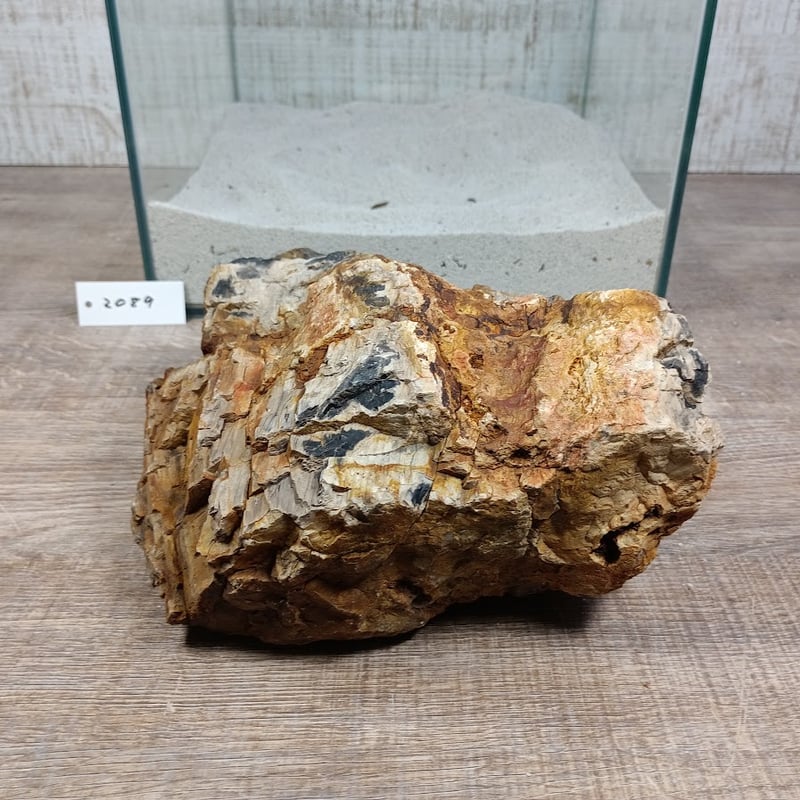 BIG木化石 NO.2089（W約21/約H18cm/約3.9kg)(30cm水槽） | 流木