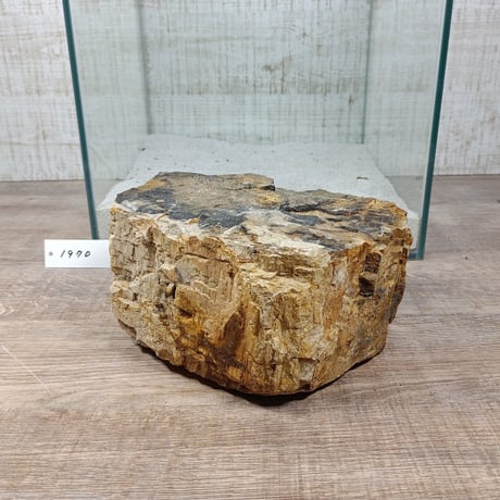 BIG木化石　NO.1970（W約16cm/H約9cm)(30cm水槽）