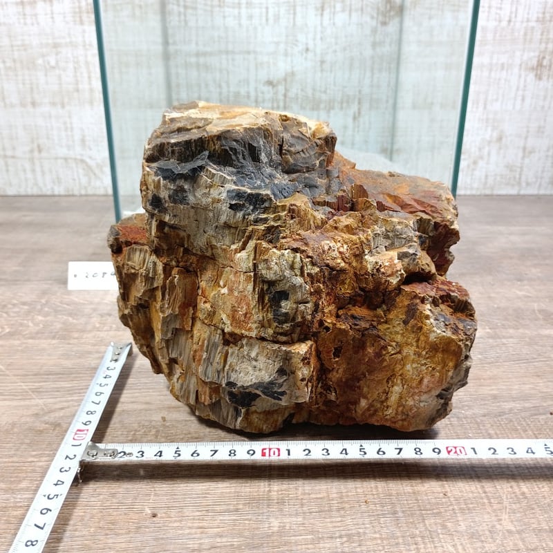 BIG木化石 NO.2089（W約21/約H18cm/約3.9kg)(30cm水槽） | 流木