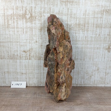 BIG気孔石　１点もの　No.1957（W約30cm)(30cm水槽）