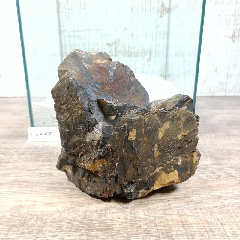 BIG木化石 NO.2088（W約19/約H17cm/約3kg)(30cm水槽） | 流木専門