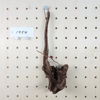 ハンギング流木　(てんとう虫装飾付き）　No.1954