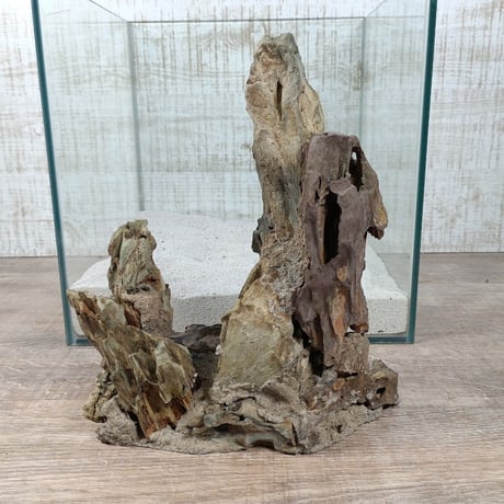 希少気孔石山（美型） 一点物の水槽オブジェ No. 1967  (30cm水槽)(W約20cm/H約25cm)