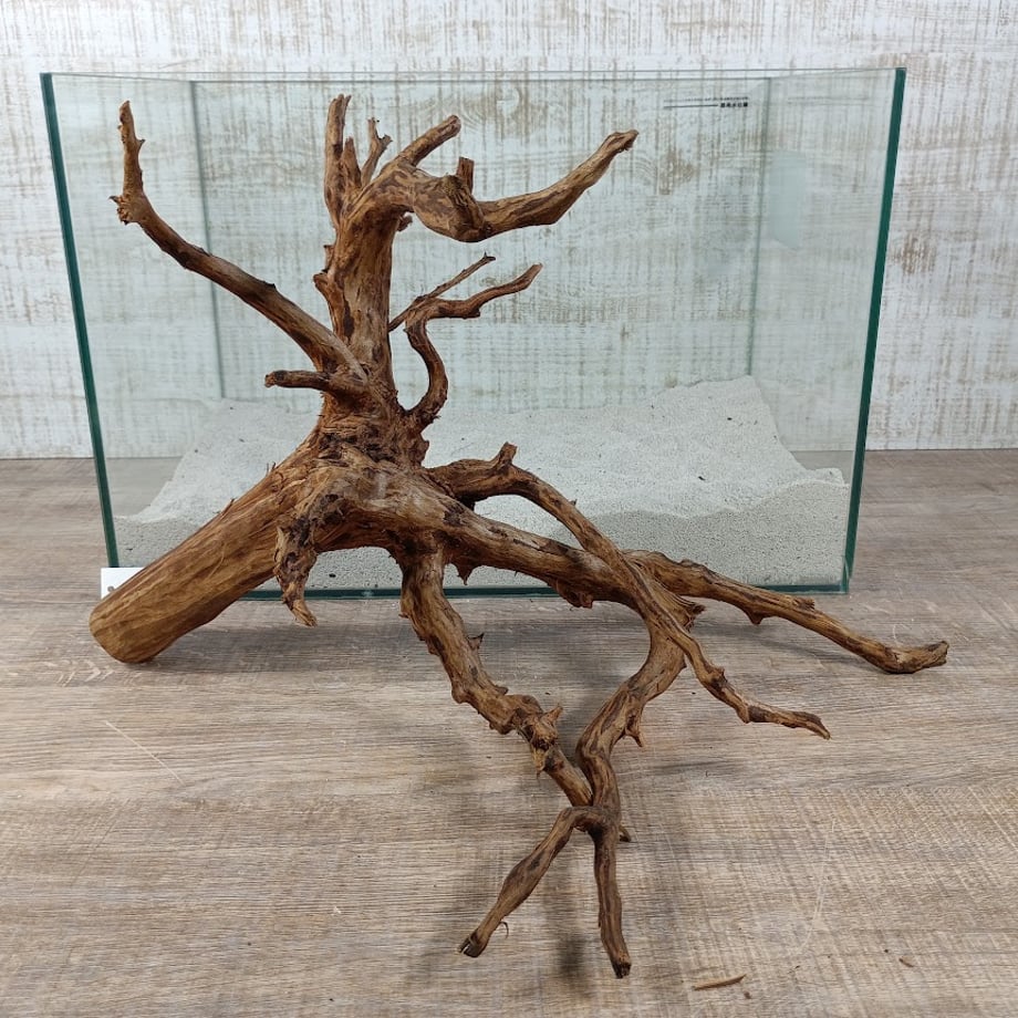 6a59dd6afe926000445eb777