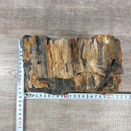 BIG木化石　NO.1970（W約16cm/H約9cm)(30cm水槽）