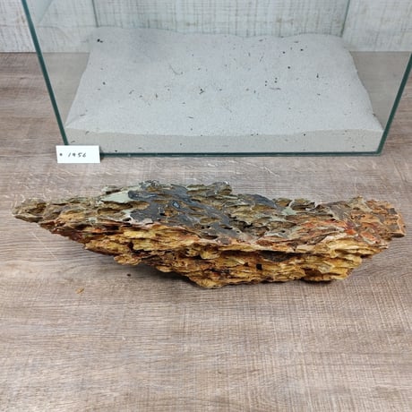 BIG気孔石　１点もの　No.1956（W約41cm)(45cm水槽）