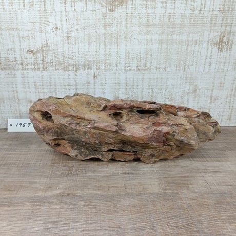 BIG気孔石　１点もの　No.1957（W約30cm)(30cm水槽）