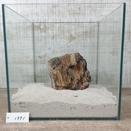 BIG木化石　NO.1991（W約13cm/H約13cm)(30cm水槽）