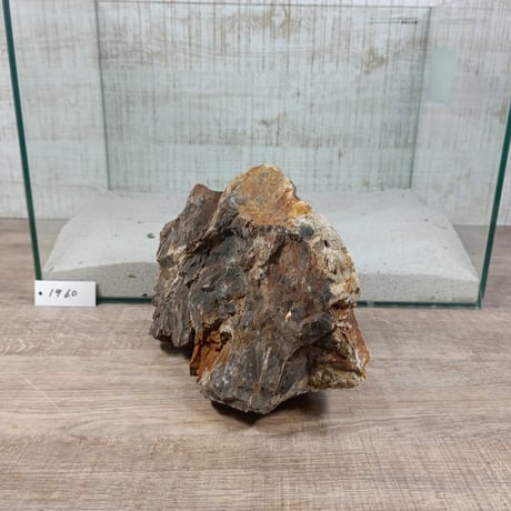 BIG木化石　NO.1960（W約22cm/H約15cm)(45cm水槽）