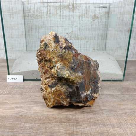 BIG木化石　NO.1961（W約21cm/H約15cm)(45cm水槽）