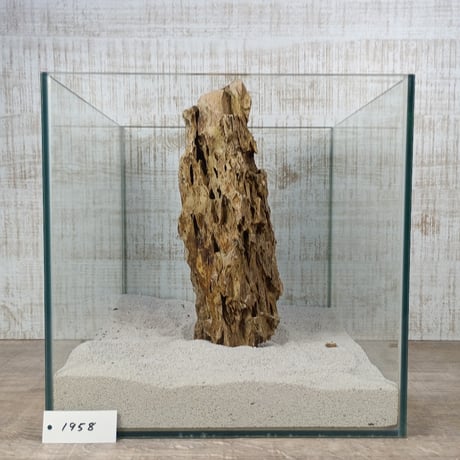 BIG気孔石　１点もの　No.1958（W約31cm)(30cm水槽）