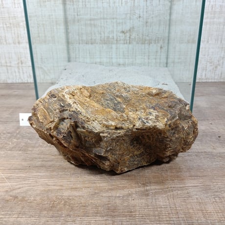 BIG木化石　NO.1971（W約22cm/H約11cm)(30cm水槽）