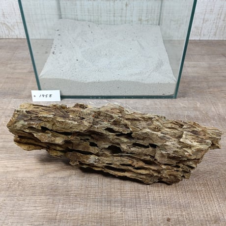 BIG気孔石　１点もの　No.1958（W約31cm)(30cm水槽）