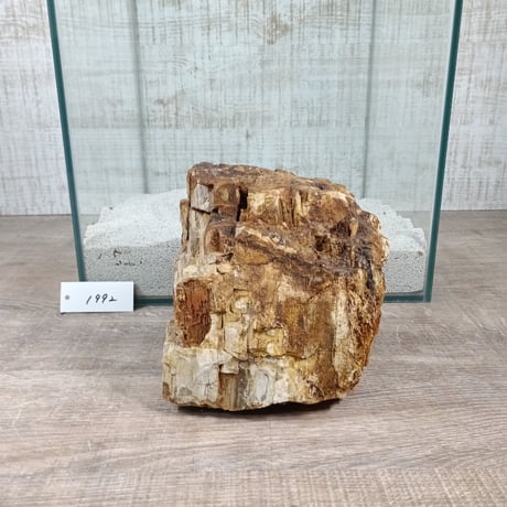 BIG木化石　NO.1992（W約13cm/H約14cm)(30cm水槽）