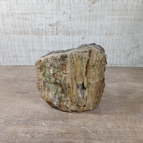 BIG木化石　NO.1991（W約13cm/H約13cm)(30cm水槽）