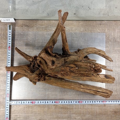 マングローブ系流木  2Lサイズ　オンリーワン ★現物撮影  1点　No.2187(W約40㎝）
