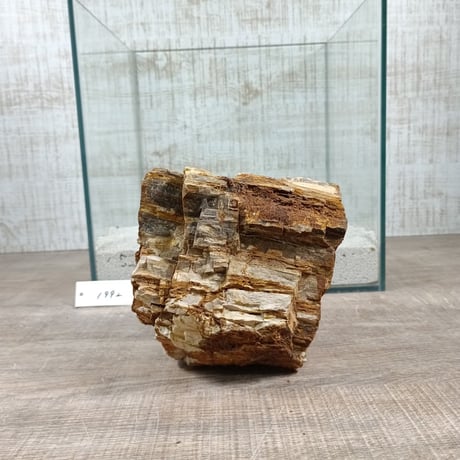 BIG木化石　NO.1992（W約13cm/H約14cm)(30cm水槽）