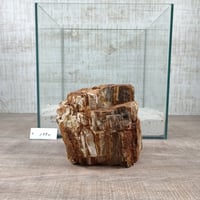 BIG木化石　NO.1992（W約13cm/H約14cm)(30cm水槽）