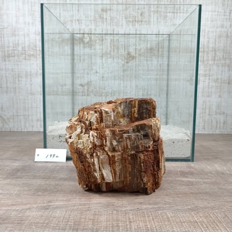 BIG木化石　NO.1992（W約13cm/H約14cm)(30cm水槽）