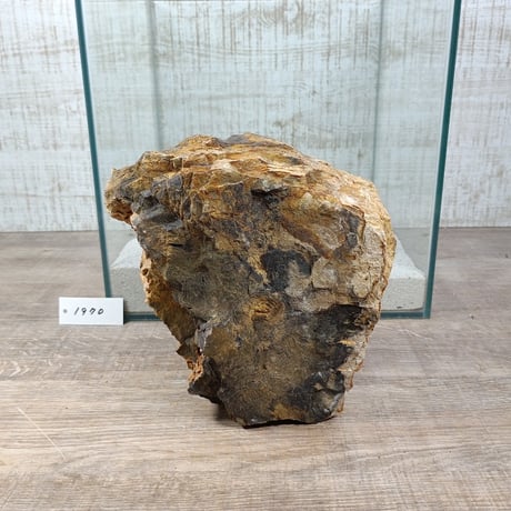 BIG木化石　NO.1970（W約16cm/H約9cm)(30cm水槽）