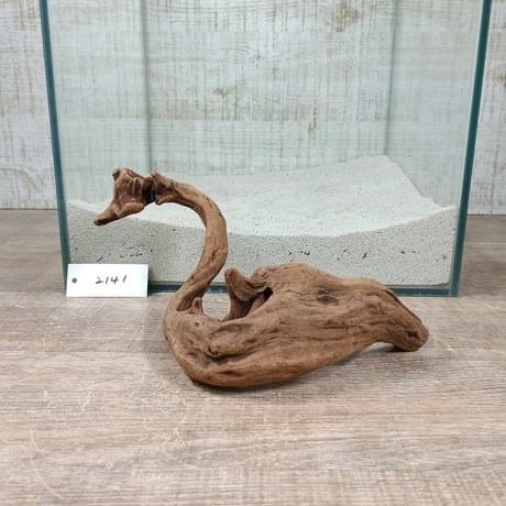 ☆流木☆希少 インテリア アクアリム L1 ITEM | 流木専門店のアクアリバー/アクアリウム/グリーンインテリア