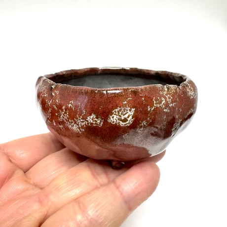 ミニ盆栽鉢　植木鉢陶房うさぎ庵 玉木啓子造 　１点もの現物撮影 　№261029D