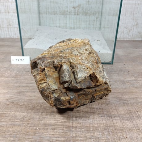 BIG木化石　NO.1971（W約22cm/H約11cm)(30cm水槽）