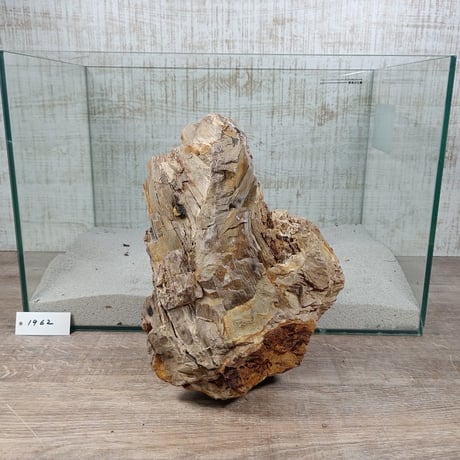 BIG木化石　NO.1962（W約23cm/H約16cm)(45cm水槽）
