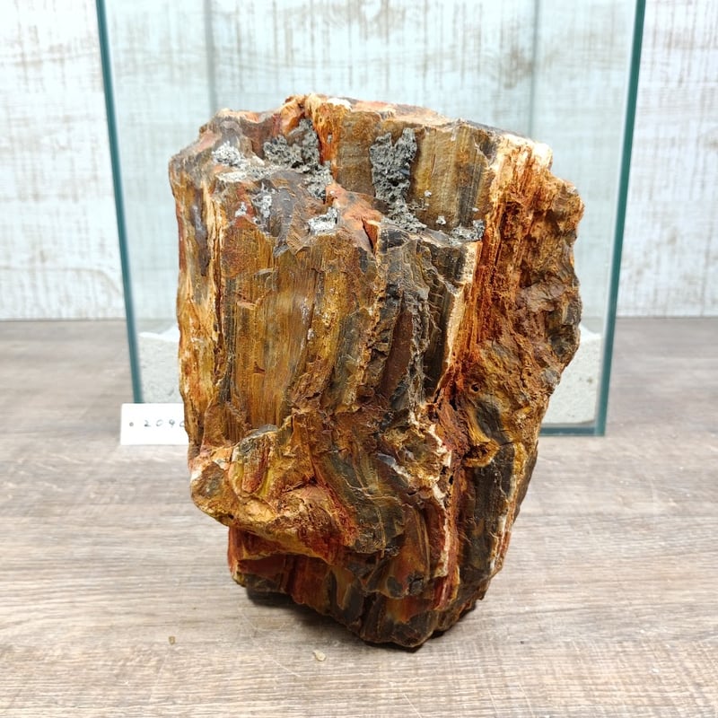 BIG木化石 NO.2090（W約16/約H19cm/約3.6kg)(30cm水槽） | 流木