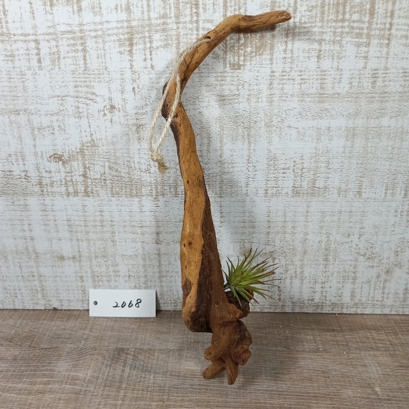 ハンギング流木 NO.2068 | 流木専門店のアクアリバー/アクアリウム