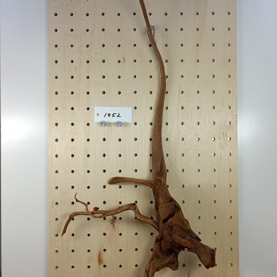 6a4f4443ea2af00044e40038
