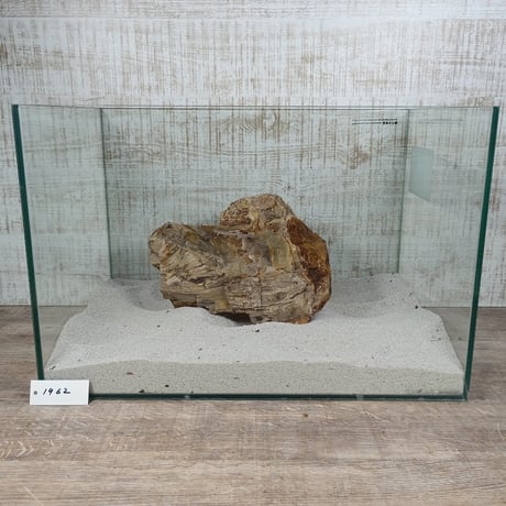 BIG木化石　NO.1962（W約23cm/H約16cm)(45cm水槽）