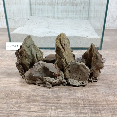 希少気孔石山  小サイズ（美型） 一点物の水槽オブジェ No. 19678 (30cm水槽)(W約18cm/H約9cm)