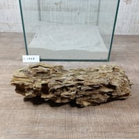 BIG気孔石　１点もの　No.1958（W約31cm)(30cm水槽）