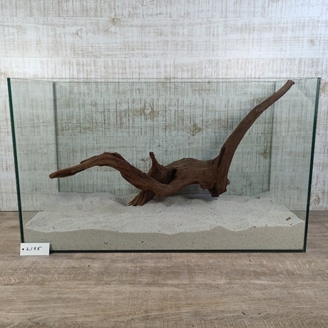 Long マングローブ系流木  2L～3L サイズ　オンリーワン ★現物撮影  1点　No.2185(W約58㎝）
