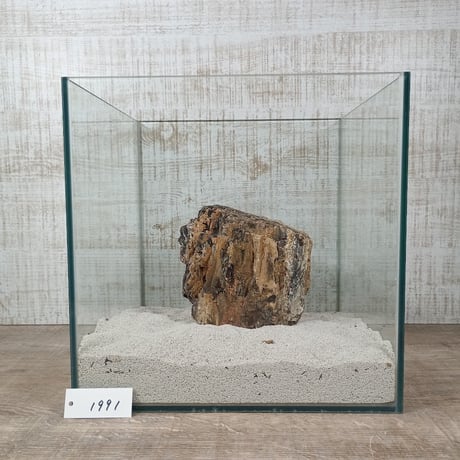 BIG木化石　NO.1991（W約13cm/H約13cm)(30cm水槽）