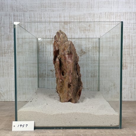 BIG気孔石　１点もの　No.1957（W約30cm)(30cm水槽）