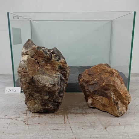 BIG木化石　2個セットNO.1622（W約21cm/W約17cm)(45cm水槽）