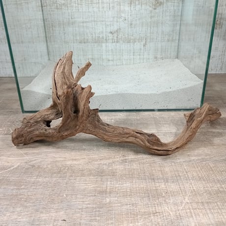 ITEM | 流木専門店のアクアリバー/アクアリウム/グリーンインテリア