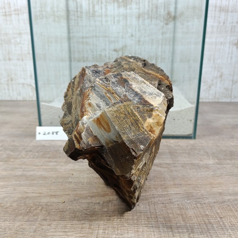BIG木化石 NO.2088（W約19/約H17cm/約3kg)(30cm水槽） | 流木専門