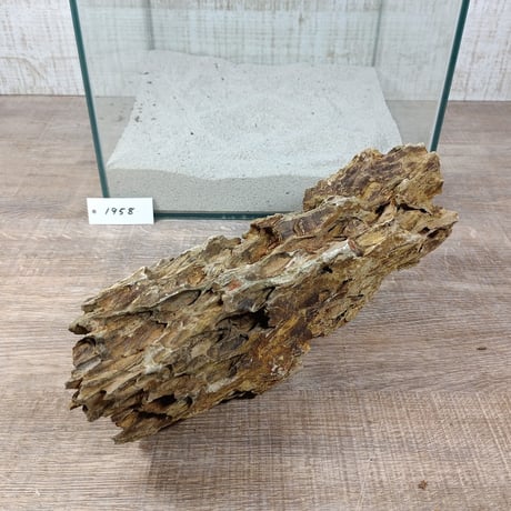 BIG気孔石　１点もの　No.1958（W約31cm)(30cm水槽）