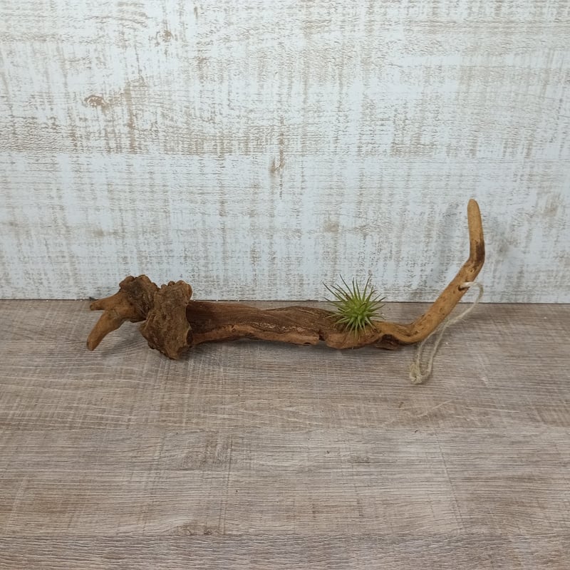 ハンギング流木 NO.2068 | 流木専門店のアクアリバー/アクアリウム