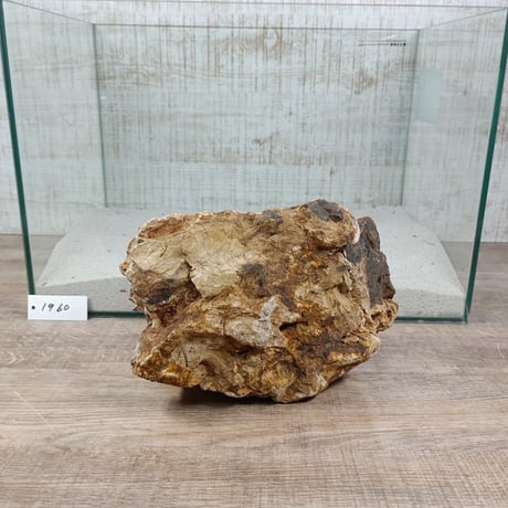 BIG木化石　NO.1960（W約22cm/H約15cm)(45cm水槽）